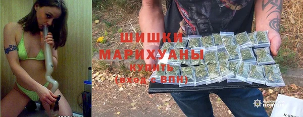 крисы Алзамай
