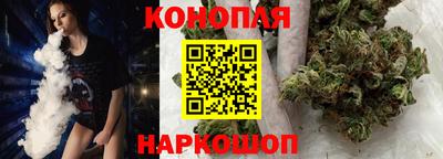 скорость Новозыбков